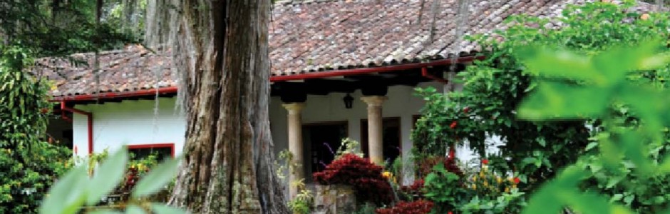 Hacienda Coloma15