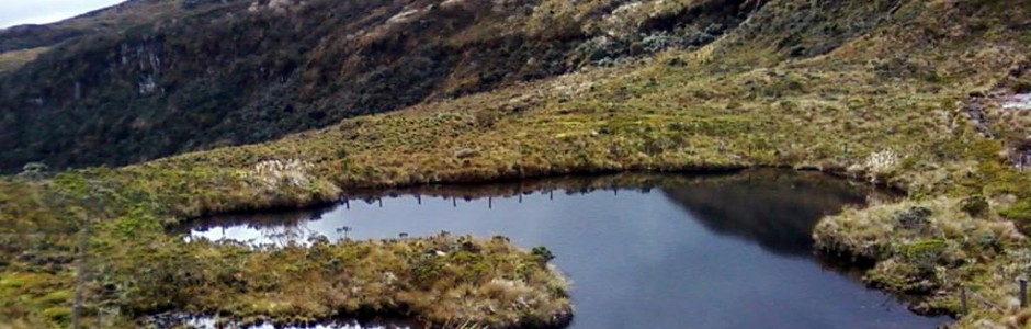 Laguna del Buey1
