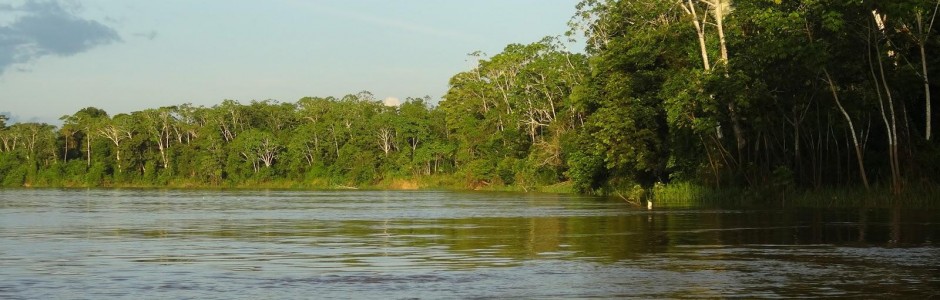 Rio Javari Amazon