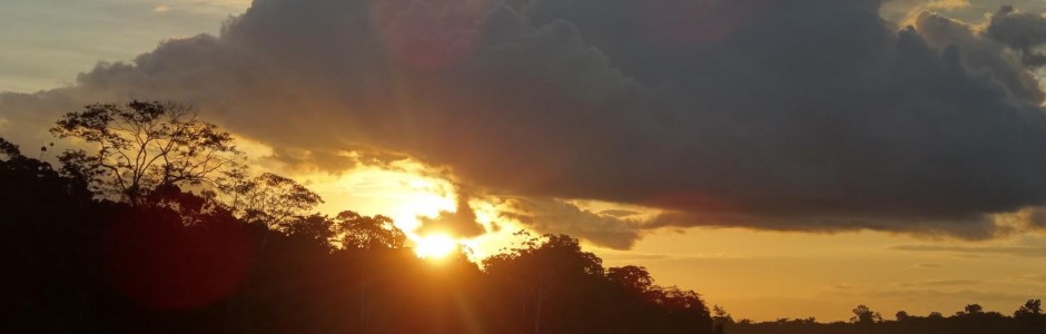 Sunset Amazon
