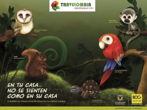 Sustainable Tourism | Travelombia 5